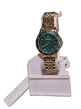 Armitron Watch (view 1)
