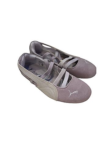Puma Flats (view 2)