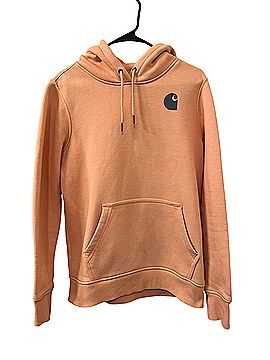 Carhartt Pullover Hoodie (view 1)