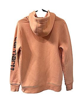 Carhartt Pullover Hoodie (view 2)