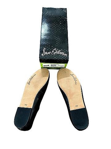 Sam Edelman Felicia Classic Ballet Flat 10W Flats (view 2)