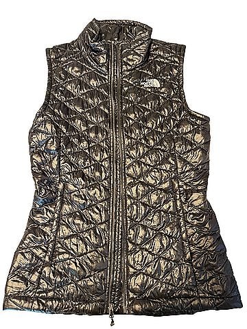 The North Face the north face Vest (view 1)