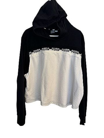 Puma Pullover Hoodie (view 1)