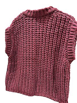 Zara Sweater Vest (view 2)