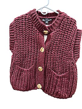 Zara Sweater Vest (view 1)