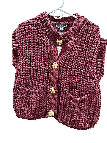 Zara Sweater Vest (view 1)