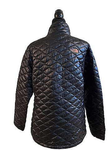 The North Face Jacket (view 2)