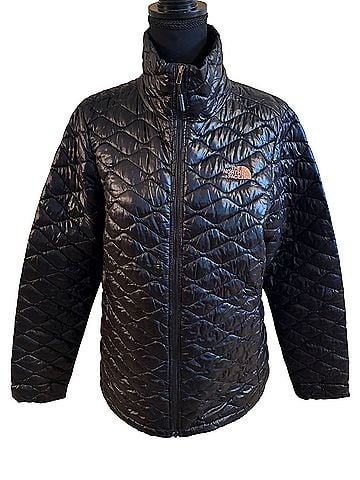 The North Face Jacket (view 1)