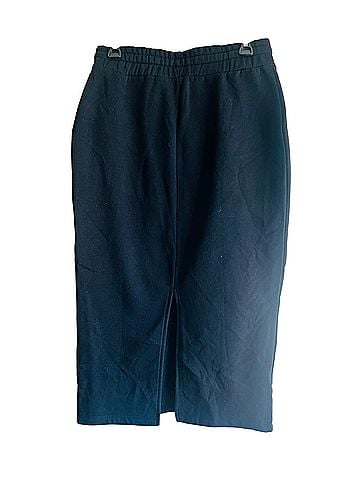 Zara Formal Skirt (view 2)