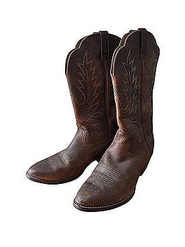 Ariat Boots (view 1)