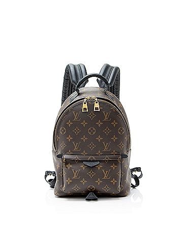 Louis Vuitton Louis Vuitton Monogram Canvas Palm Springs PM Backpack (view 1)